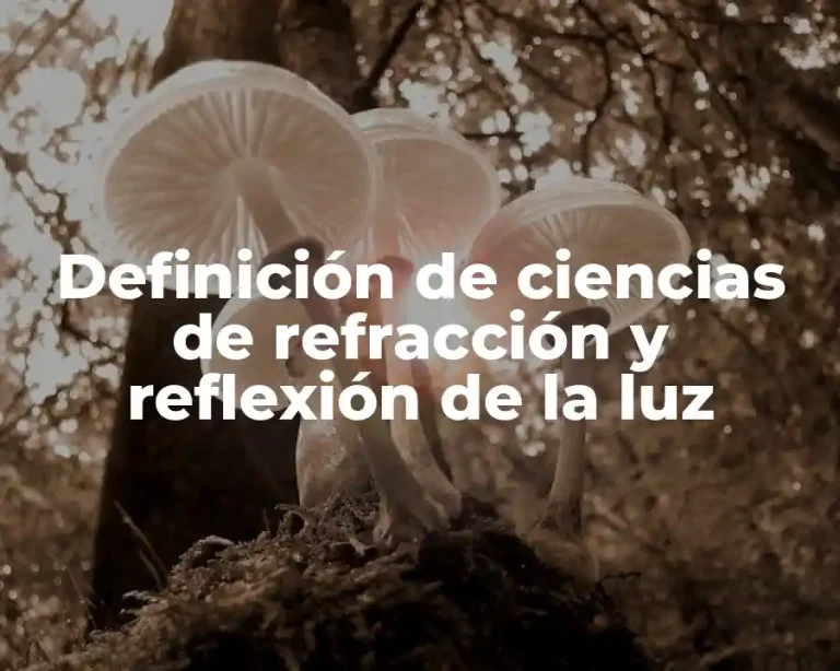 Definición de ciencias de refracción y reflexión de la luz