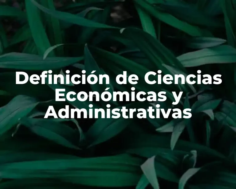Definición de Ciencias Económicas y Administrativas