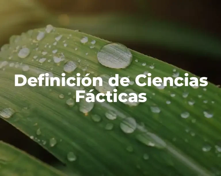 Definición de Ciencias Fácticas