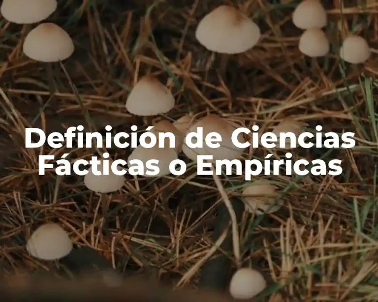 Definición de Ciencias Fácticas o Empíricas