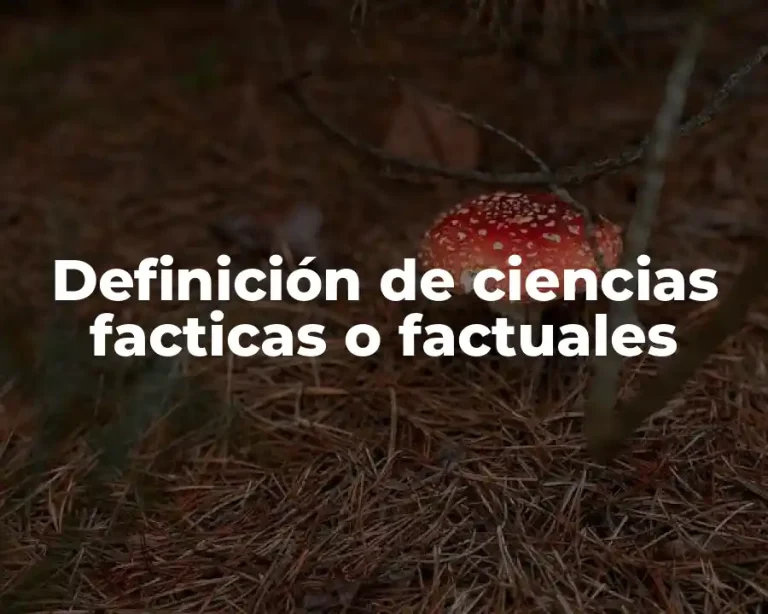 Definición de ciencias facticas o factuales