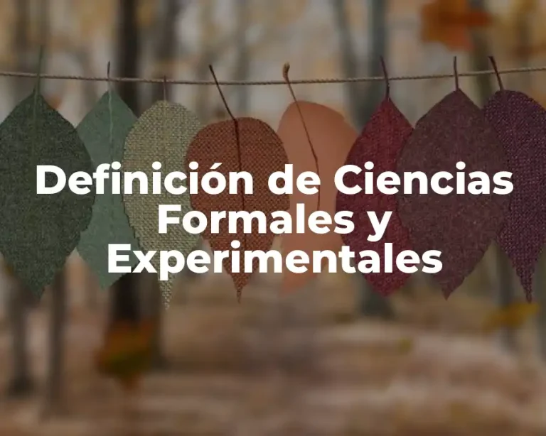 Definición de Ciencias Formales y Experimentales