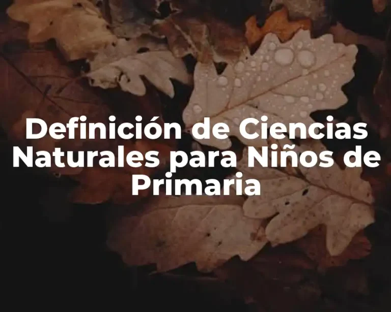 Definición de Ciencias Naturales para Niños de Primaria