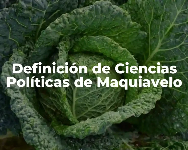 Definición de Ciencias Políticas de Maquiavelo