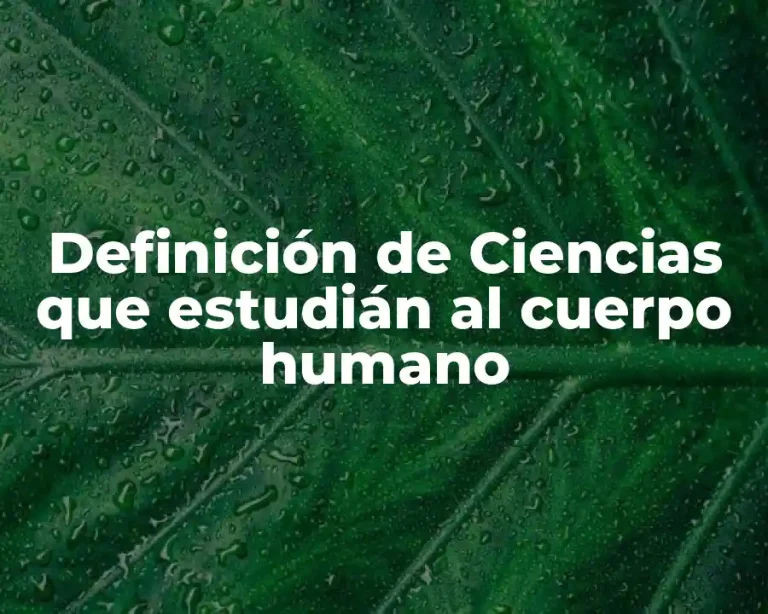 Definición de Ciencias que estudián al cuerpo humano