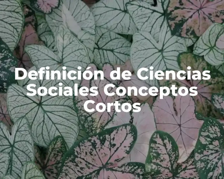 Definición de Ciencias Sociales Conceptos Cortos
