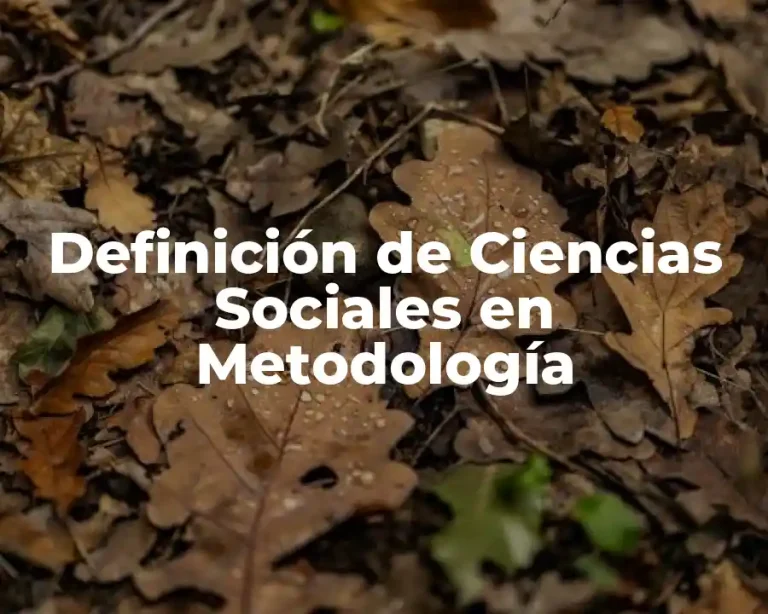 Definición de Ciencias Sociales en Metodología