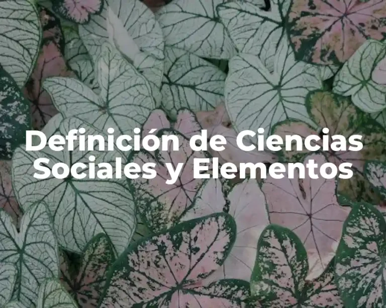 Definición de Ciencias Sociales y Elementos