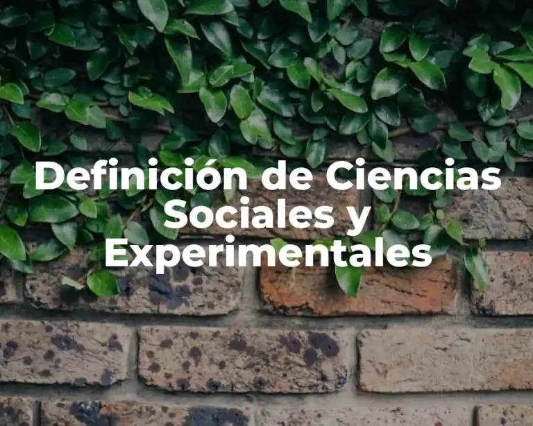 Definición de Ciencias Sociales y Experimentales