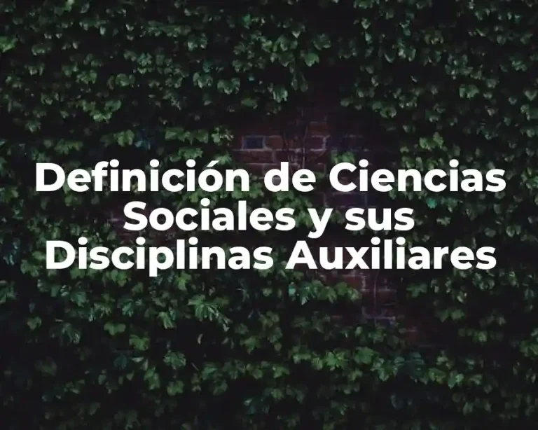 Definición de Ciencias Sociales y sus Disciplinas Auxiliares