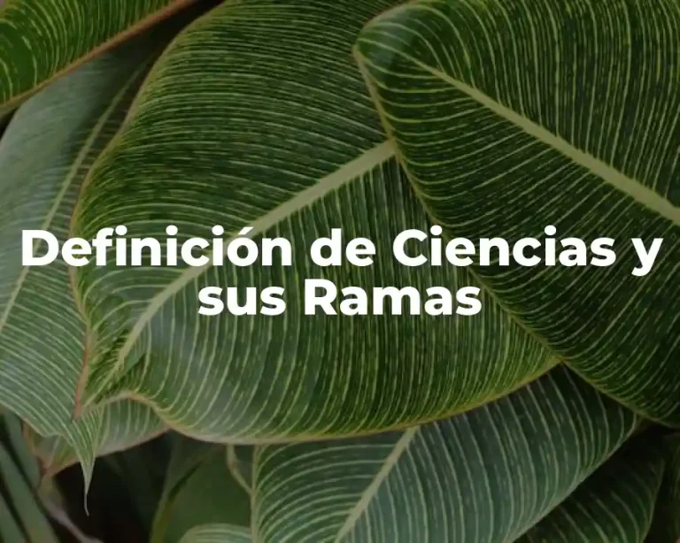 Definición de Ciencias y sus Ramas