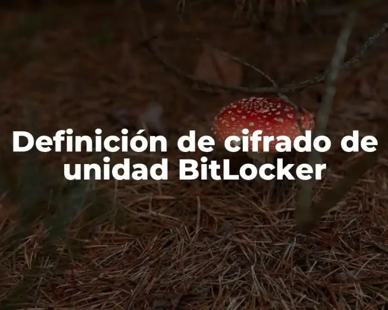Definición de cifrado de unidad BitLocker