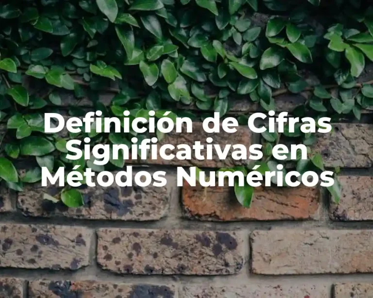 Definición de Cifras Significativas en Métodos Numéricos