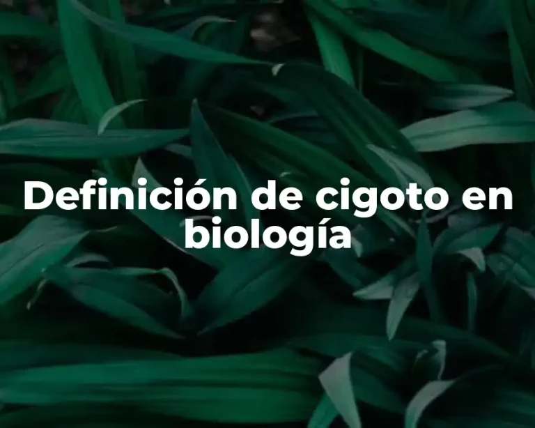 Definición de cigoto en biología