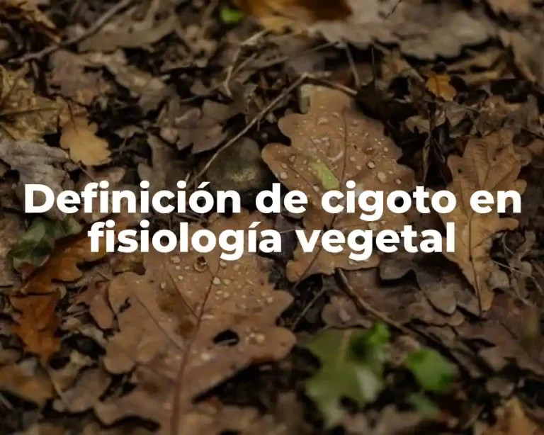 Definición de cigoto en fisiología vegetal