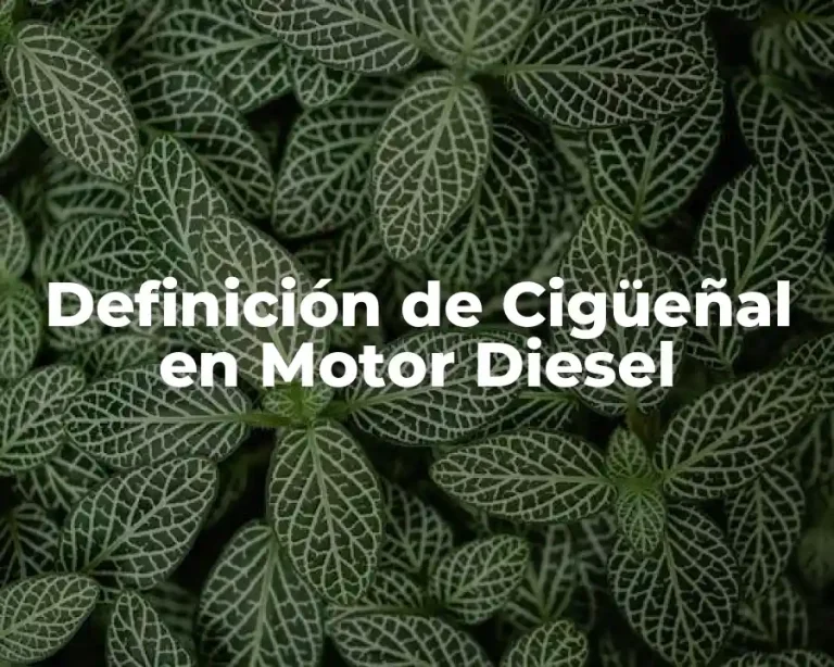 Definición de Cigüeñal en Motor Diesel