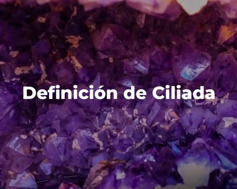 Definición de Ciliada