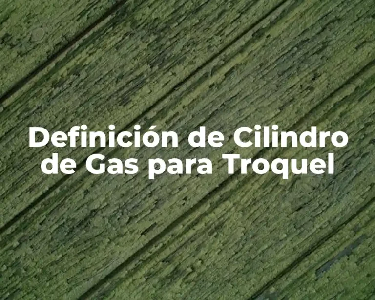 Definición de Cilindro de Gas para Troquel