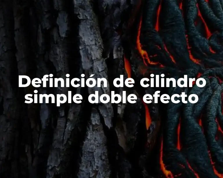 Definición de cilindro simple doble efecto