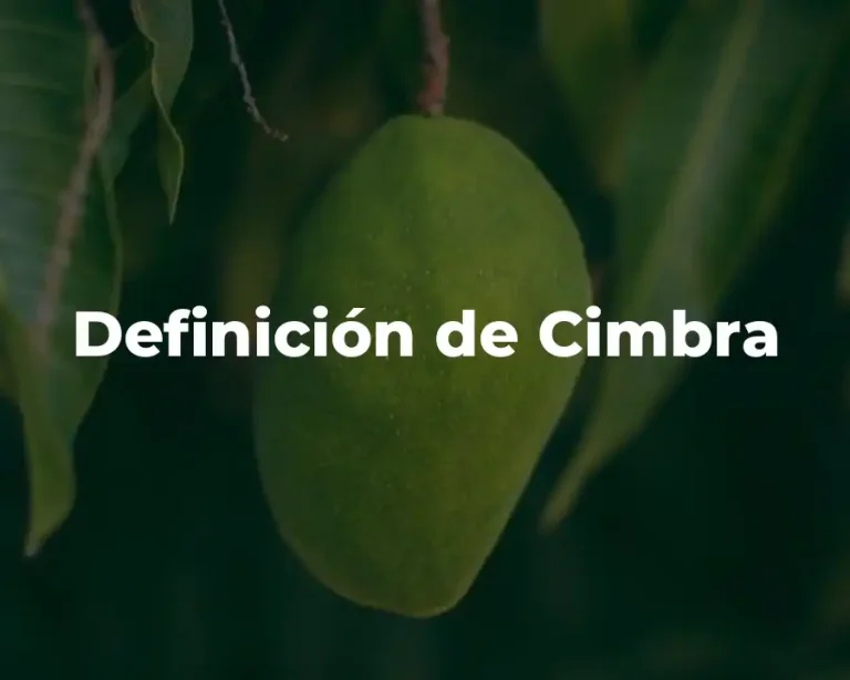 Definición de Cimbra
