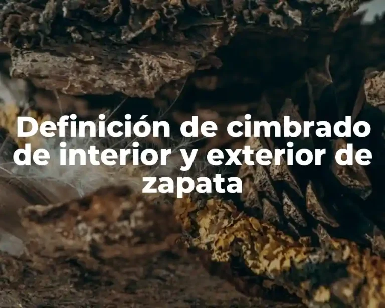 Definición de cimbrado de interior y exterior de zapata