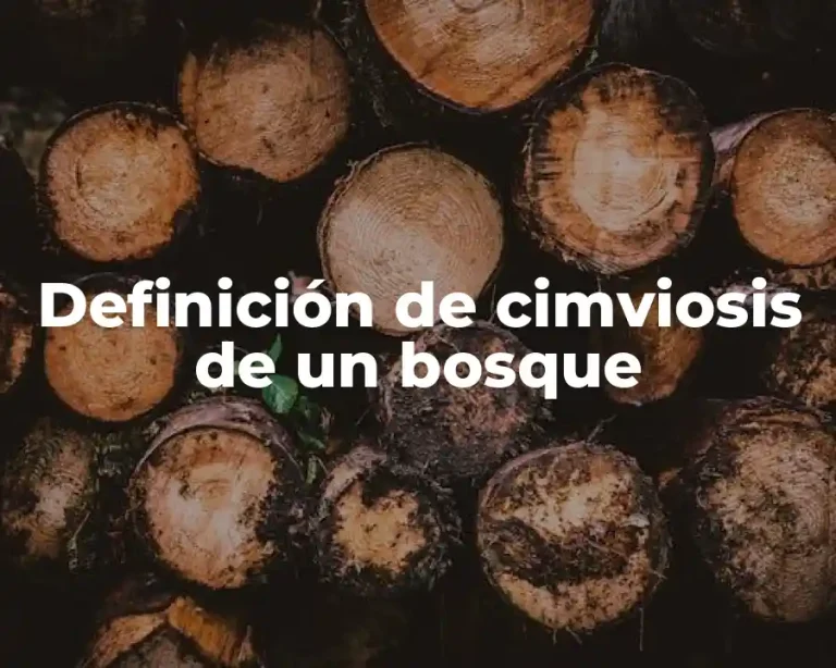 Definición de cimviosis de un bosque
