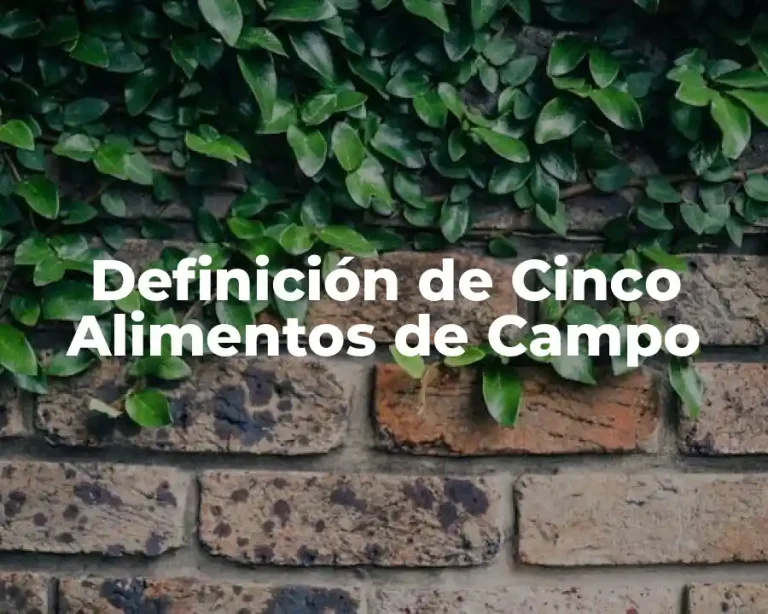 Definición de Cinco Alimentos de Campo
