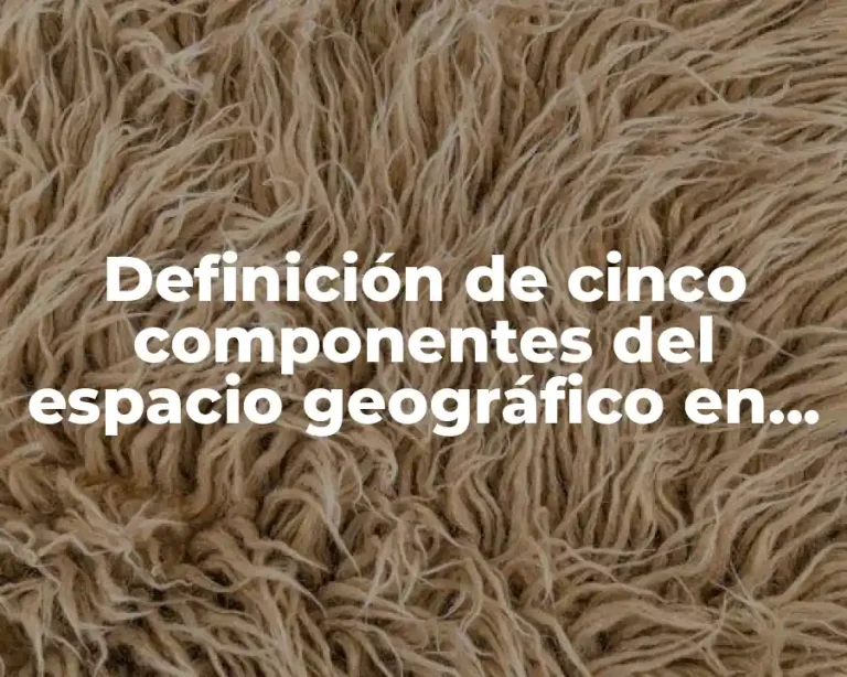 Definición de cinco componentes del espacio geográfico en Tuxtla