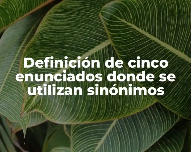 Definición de cinco enunciados donde se utilizan sinónimos