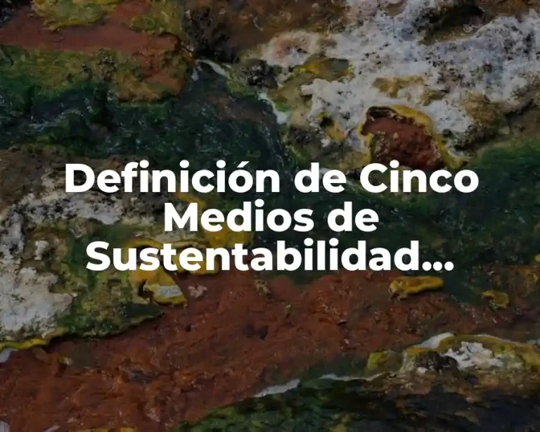 Definición de Cinco Medios de Sustentabilidad Ecológicos