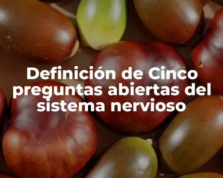 Definición de Cinco preguntas abiertas del sistema nervioso