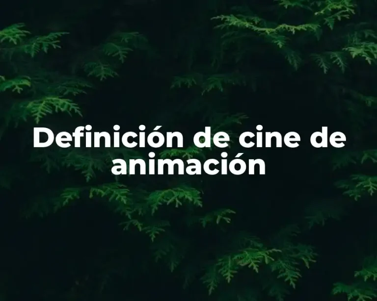 Definición de cine de animación