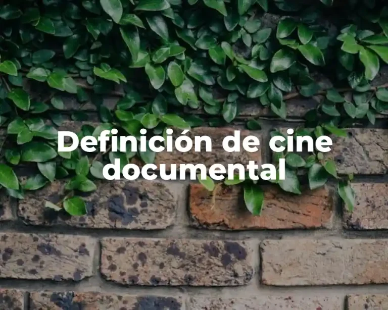 Definición de cine documental