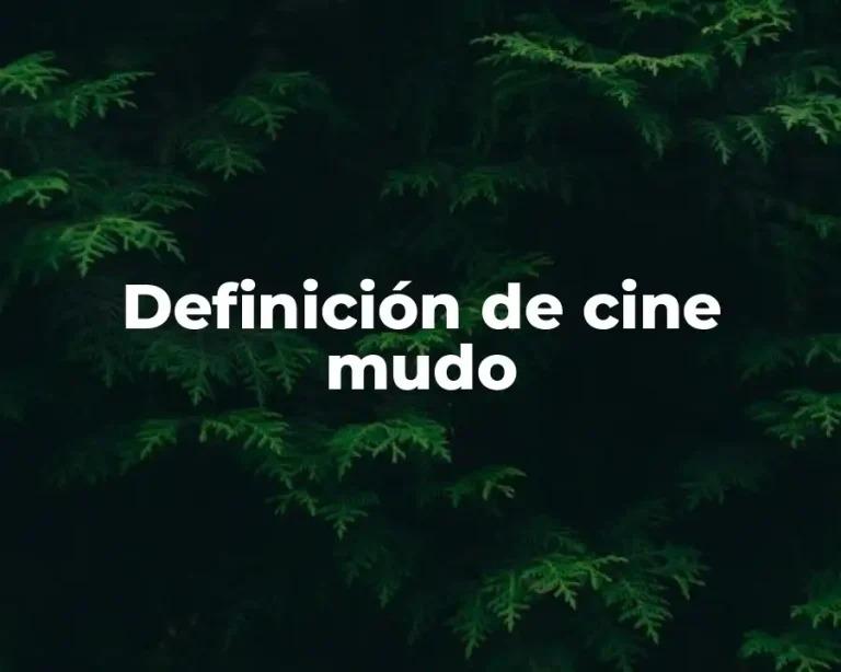 Definición de cine mudo