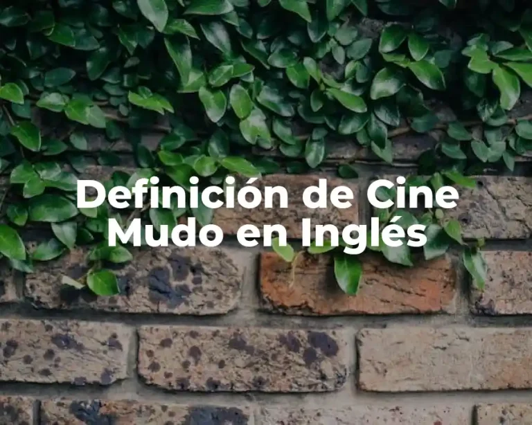 Definición de Cine Mudo en Inglés