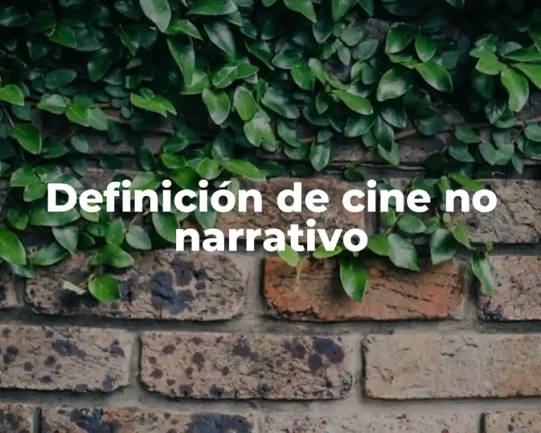 Definición de cine no narrativo