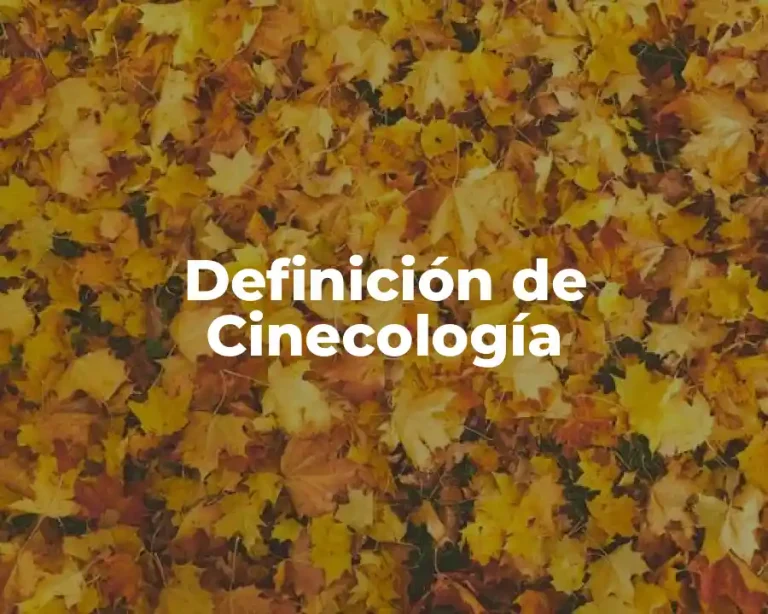 Definición de Cinecología