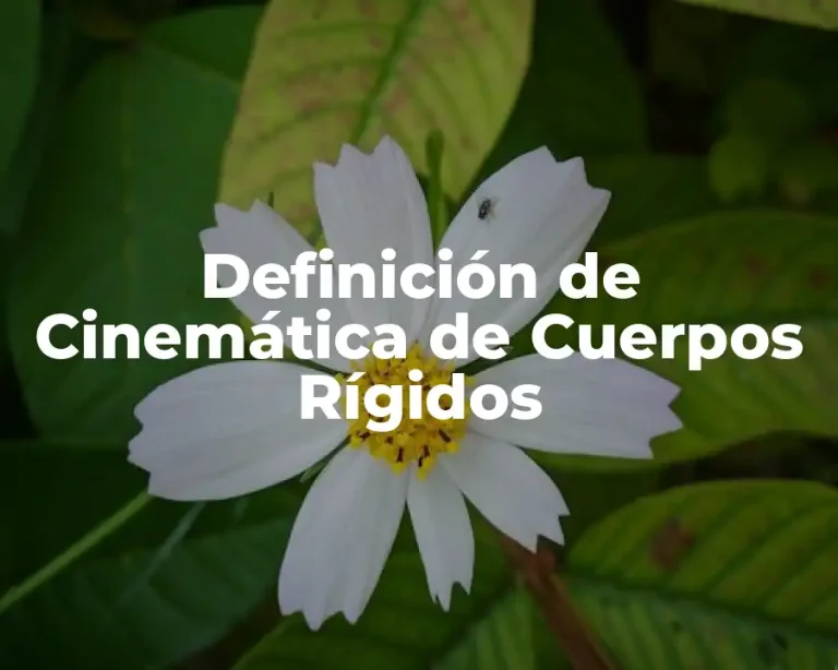 Definición de Cinemática de Cuerpos Rígidos