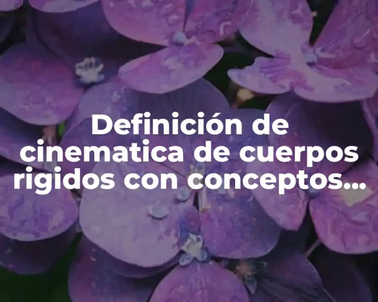 Definición de cinematica de cuerpos rigidos con conceptos fundamentales