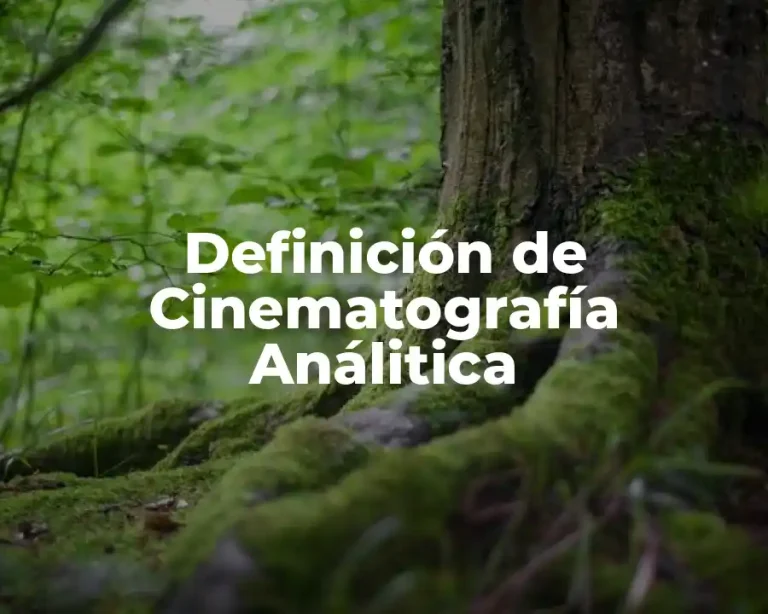 Definición de Cinematografía Análitica