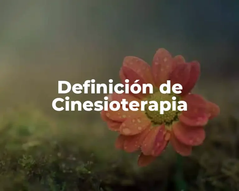 Definición de Cinesioterapia