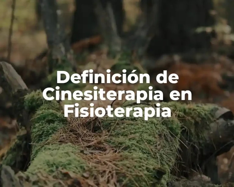 Definición de Cinesiterapia en Fisioterapia