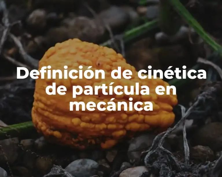 Definición de cinética de partícula en mecánica