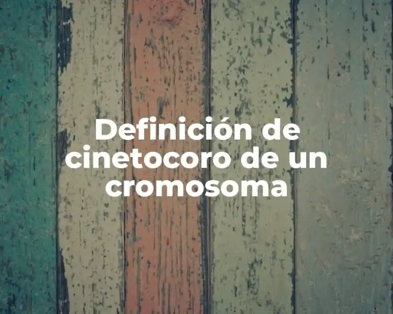 Definición de cinetocoro de un cromosoma
