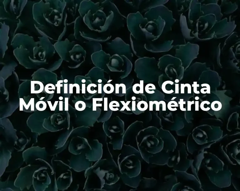 Definición de Cinta Móvil o Flexiométrico