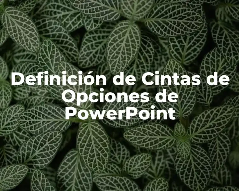 Definición de Cintas de Opciones de PowerPoint