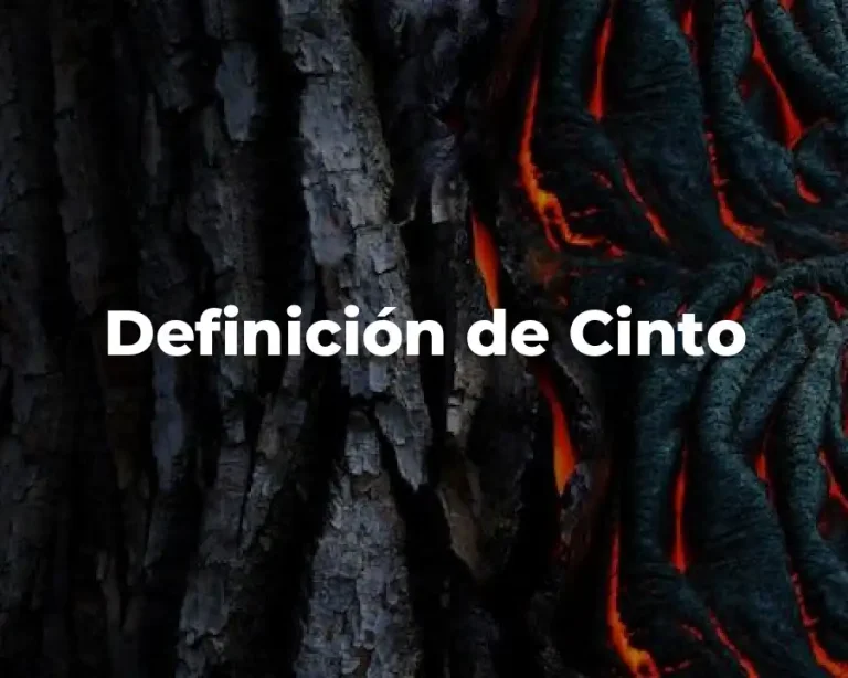 Definición de Cinto