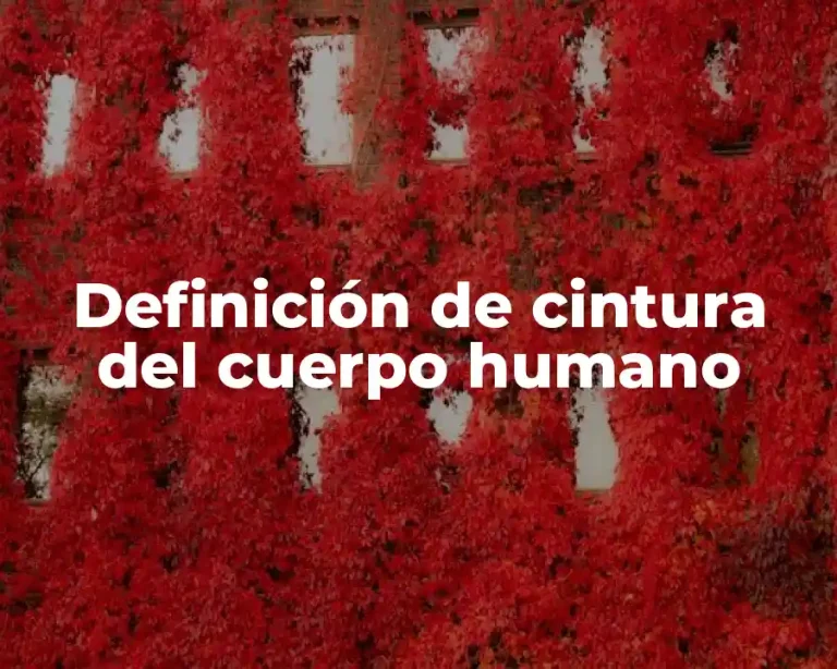Definición de cintura del cuerpo humano