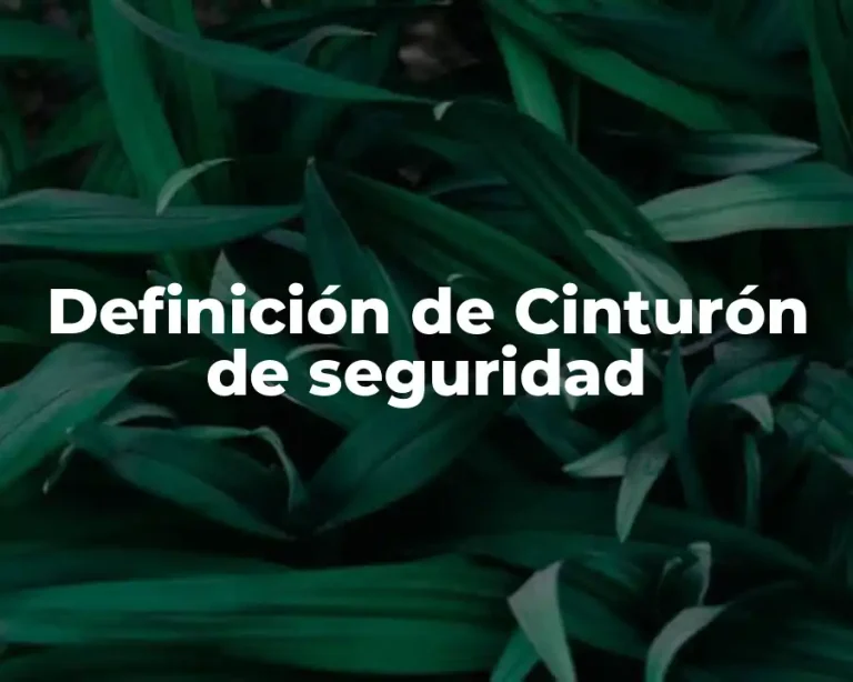 Definición de Cinturón de seguridad