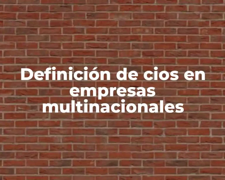 Definición de cios en empresas multinacionales